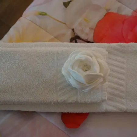 Casas Do Maranhão Navais