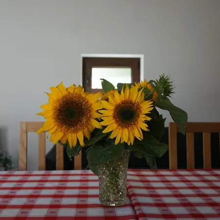 Casas Do Maranhao Povoa De Varzim Σπίτι διακοπών *