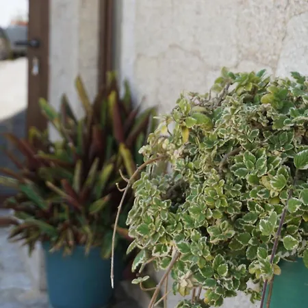 Casas Do Maranhao Povoa De Varzim