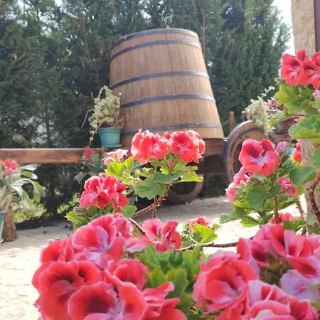 Casas Do Maranhao Povoa De Varzim Дом отдыха