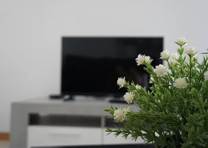 Casas Do Maranhao Povoa De Varzim *