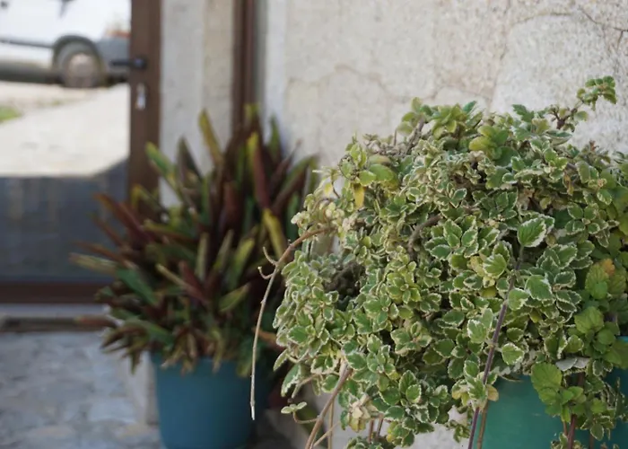 Casas Do Maranhao Povoa De Varzim